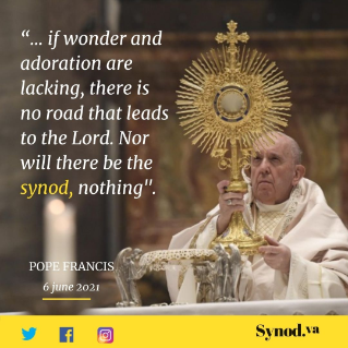 Wonder, adoration, and the Synod